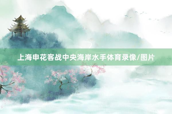 上海申花客战中央海岸水手体育录像/图片