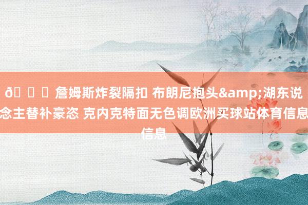 👀詹姆斯炸裂隔扣 布朗尼抱头&湖东说念主替补豪恣 克内克特面无色调欧洲买球站体育信息