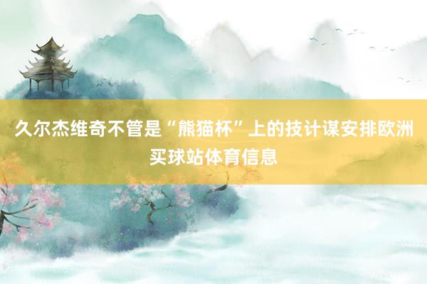 久尔杰维奇不管是“熊猫杯”上的技计谋安排欧洲买球站体育信息