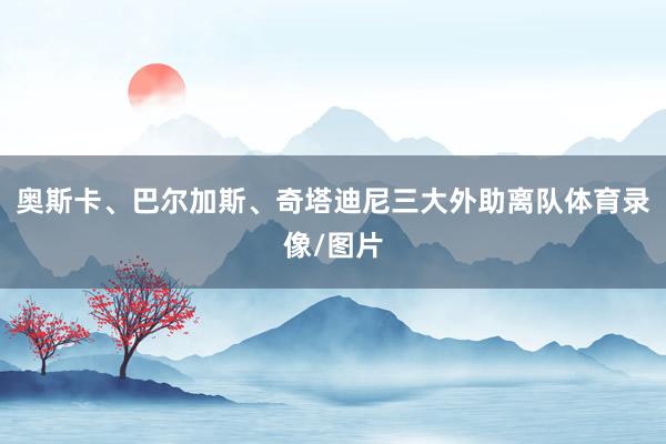 奥斯卡、巴尔加斯、奇塔迪尼三大外助离队体育录像/图片