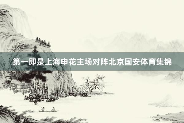 第一即是上海申花主场对阵北京国安体育集锦