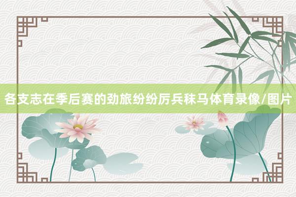 各支志在季后赛的劲旅纷纷厉兵秣马体育录像/图片