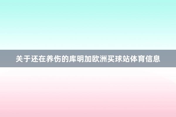 关于还在养伤的库明加欧洲买球站体育信息