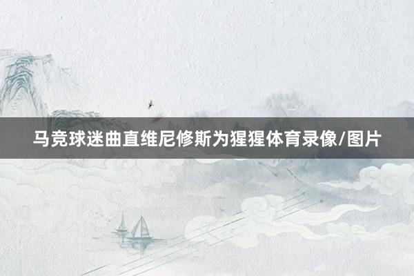 马竞球迷曲直维尼修斯为猩猩体育录像/图片