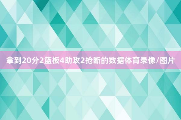 拿到20分2篮板4助攻2抢断的数据体育录像/图片