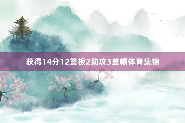 获得14分12篮板2助攻3盖帽体育集锦