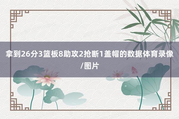 拿到26分3篮板8助攻2抢断1盖帽的数据体育录像/图片