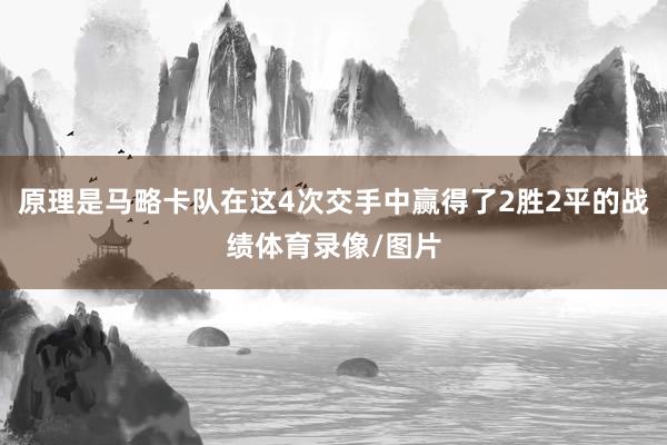原理是马略卡队在这4次交手中赢得了2胜2平的战绩体育录像/图片