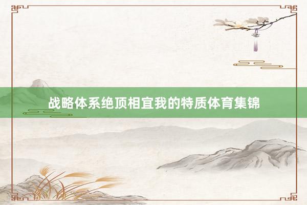 战略体系绝顶相宜我的特质体育集锦