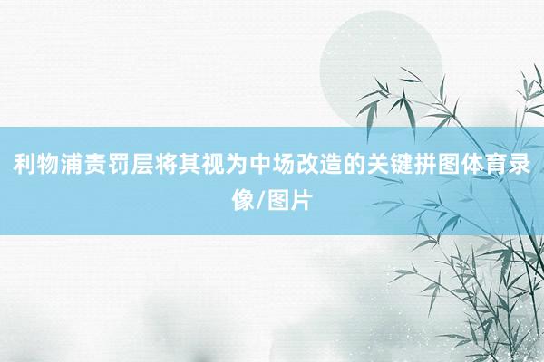 利物浦责罚层将其视为中场改造的关键拼图体育录像/图片
