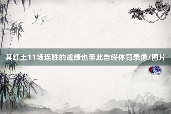 其红土11场连胜的战绩也至此告终体育录像/图片