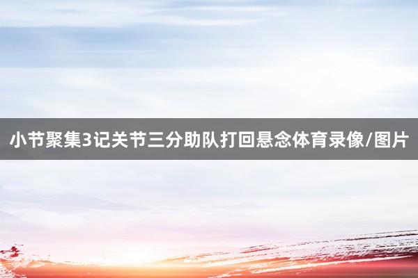 小节聚集3记关节三分助队打回悬念体育录像/图片
