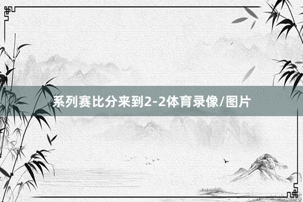 系列赛比分来到2-2体育录像/图片