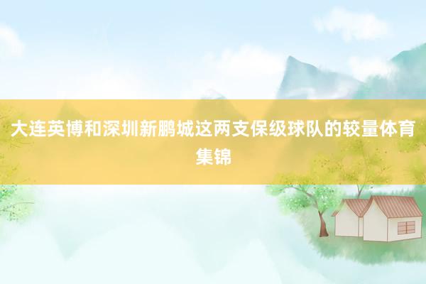 大连英博和深圳新鹏城这两支保级球队的较量体育集锦