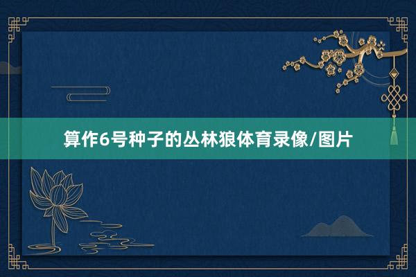 算作6号种子的丛林狼体育录像/图片