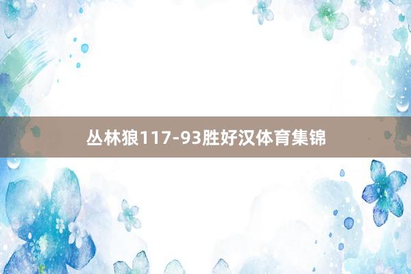 丛林狼117-93胜好汉体育集锦