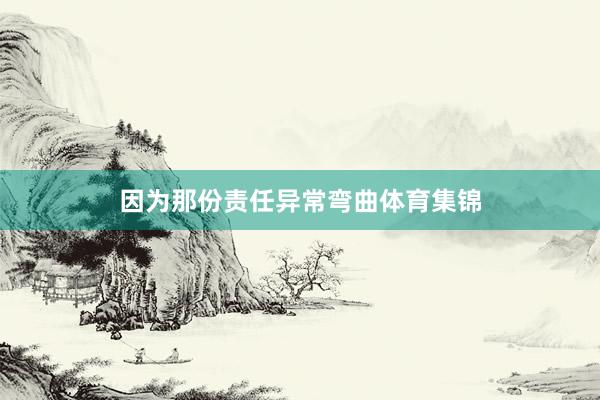 因为那份责任异常弯曲体育集锦