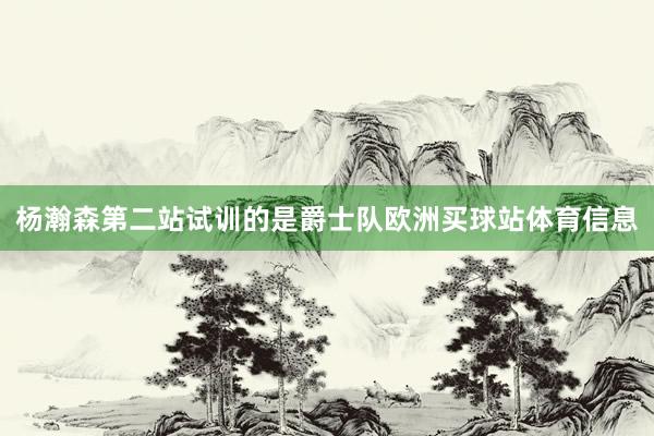 杨瀚森第二站试训的是爵士队欧洲买球站体育信息
