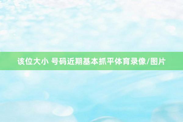 该位大小 号码近期基本抓平体育录像/图片
