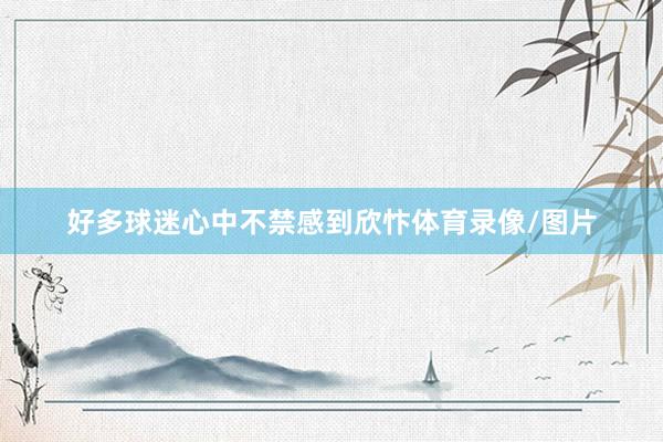 好多球迷心中不禁感到欣忭体育录像/图片