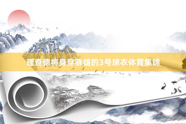 理查德将身穿骁雄的3号球衣体育集锦