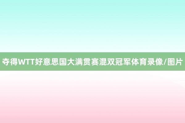 夺得WTT好意思国大满贯赛混双冠军体育录像/图片