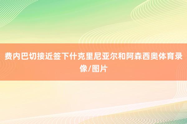 费内巴切接近签下什克里尼亚尔和阿森西奥体育录像/图片