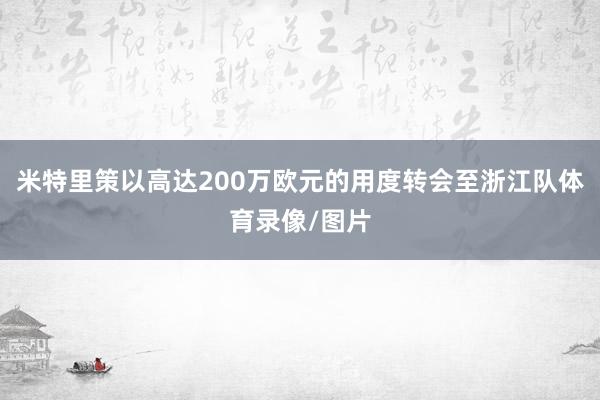 米特里策以高达200万欧元的用度转会至浙江队体育录像/图片