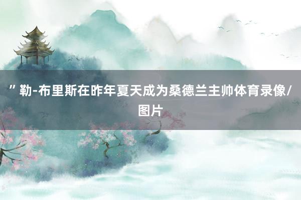 ”勒-布里斯在昨年夏天成为桑德兰主帅体育录像/图片
