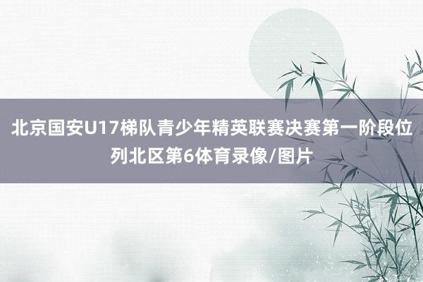 北京国安U17梯队青少年精英联赛决赛第一阶段位列北区第6体育录像/图片