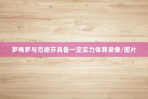 罗梅罗与范德芬具备一定实力体育录像/图片
