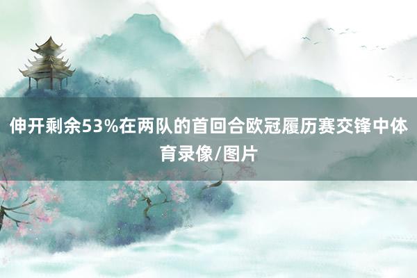 伸开剩余53%在两队的首回合欧冠履历赛交锋中体育录像/图片