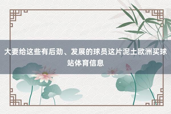 大要给这些有后劲、发展的球员这片泥土欧洲买球站体育信息