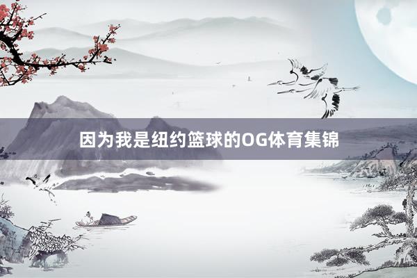 因为我是纽约篮球的OG体育集锦
