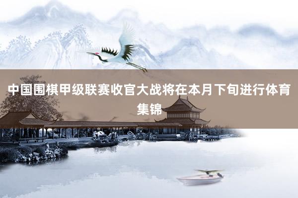 中国围棋甲级联赛收官大战将在本月下旬进行体育集锦