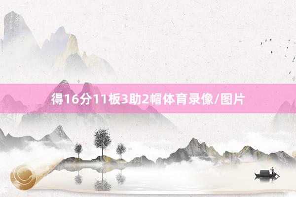 得16分11板3助2帽体育录像/图片