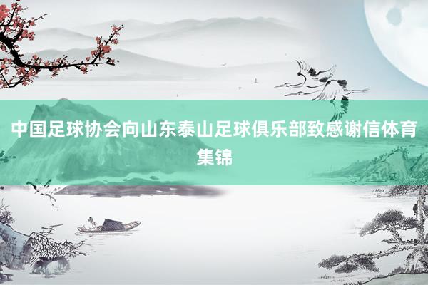 中国足球协会向山东泰山足球俱乐部致感谢信体育集锦