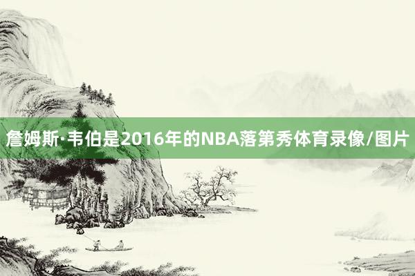 詹姆斯·韦伯是2016年的NBA落第秀体育录像/图片