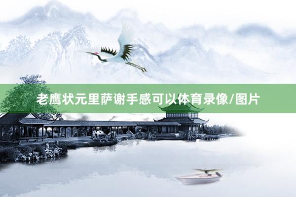老鹰状元里萨谢手感可以体育录像/图片