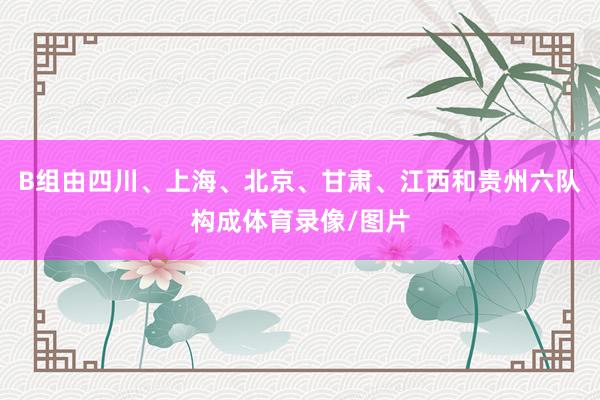 B组由四川、上海、北京、甘肃、江西和贵州六队构成体育录像/图片