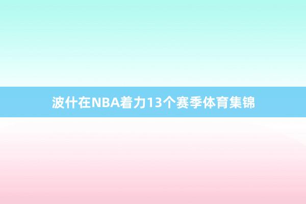 波什在NBA着力13个赛季体育集锦
